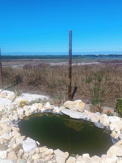 Casa Da Mareria Villa Gafanha da Boa Hora Luaran gambar